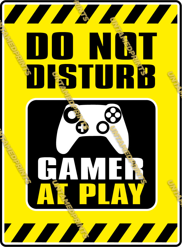 Gamer At Play - Do Not Disturb
