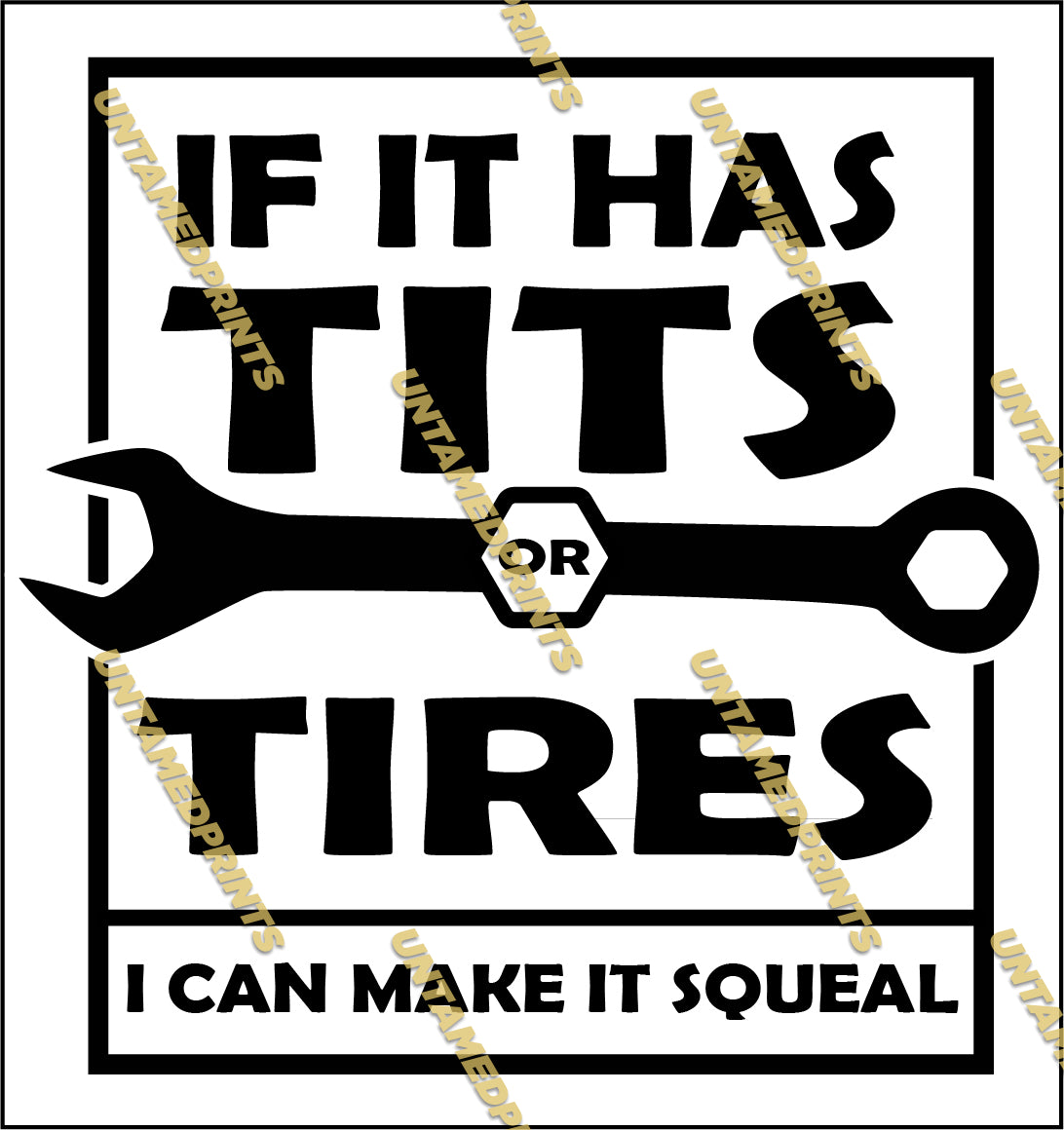 If It Has Tits Or Tires