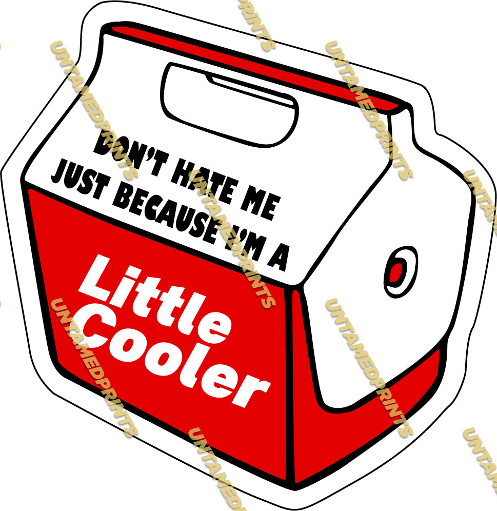 Little Cooler