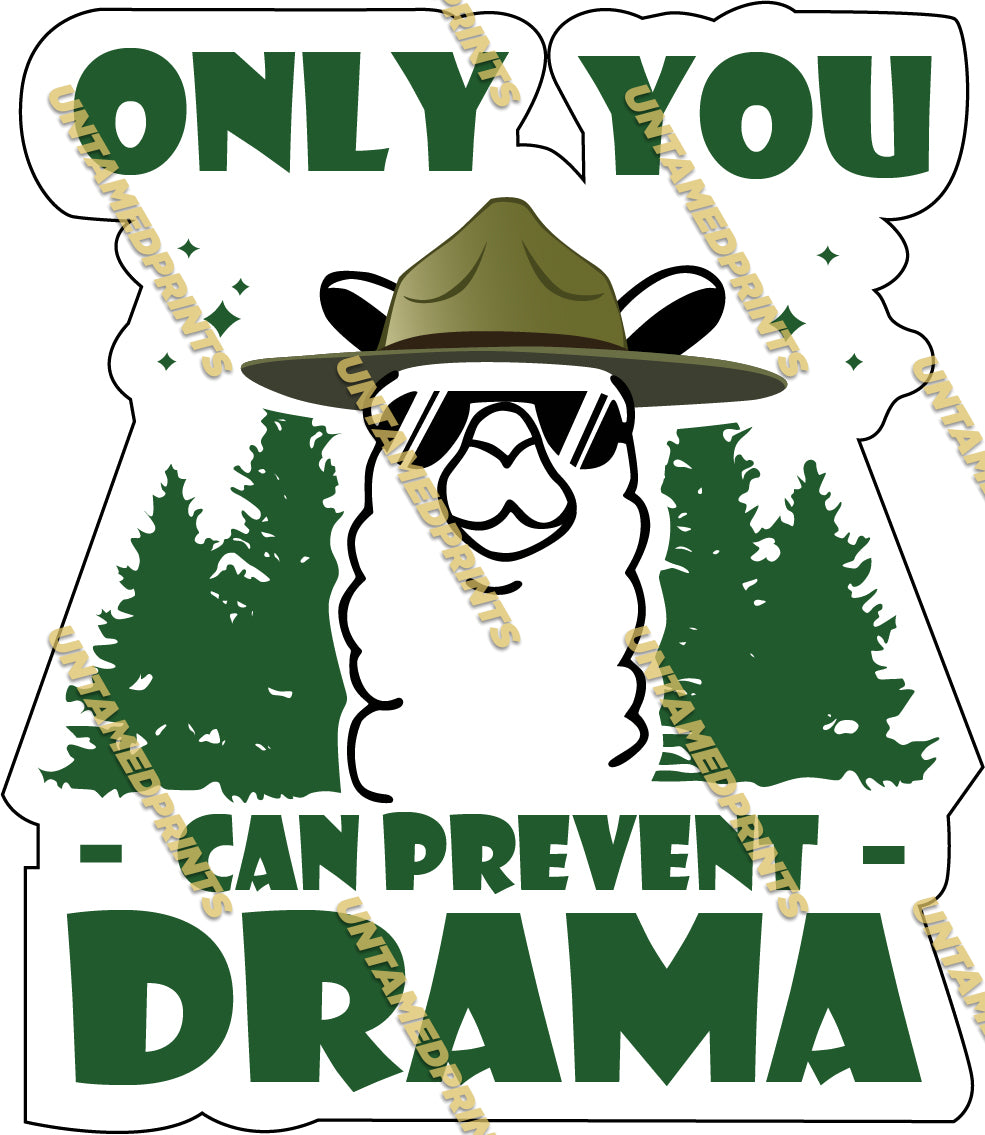 Only You Can Prevent Drama - Llama
