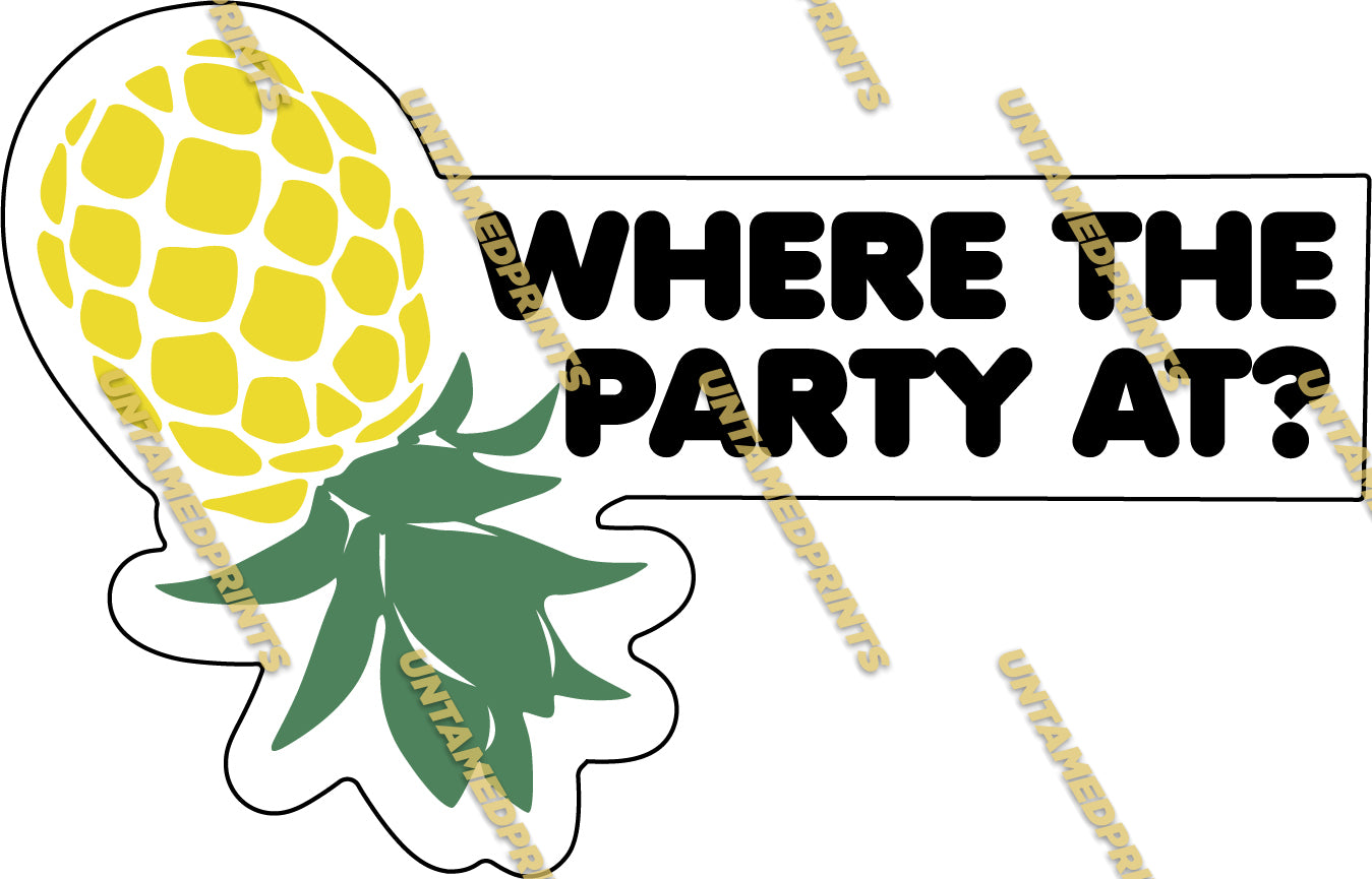 Pineapple Party - Swingers